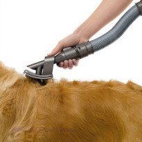pet hair removal from carpet