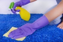 tips for winter carpet Cleaning Service