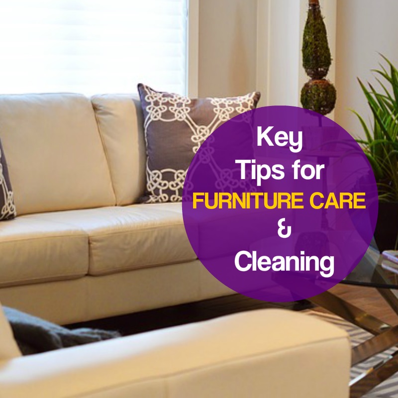  Best upholstery Cleaners  