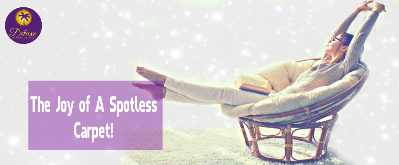 Manchester Carpet CleaningDeluxe Dry Carpet Cleaning